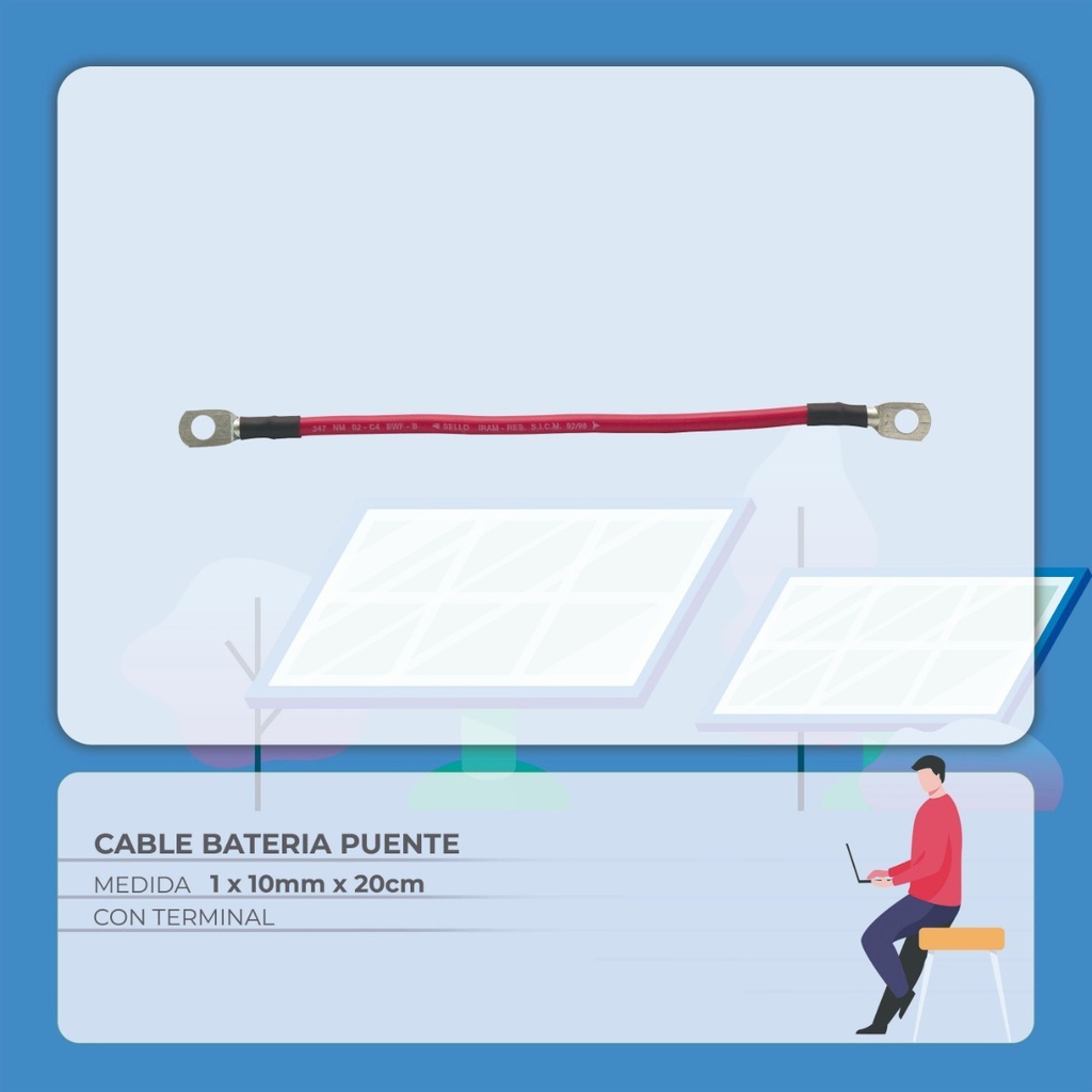 Cable Baterias Puente 1 x 10mm x 20cm C/Terminal
